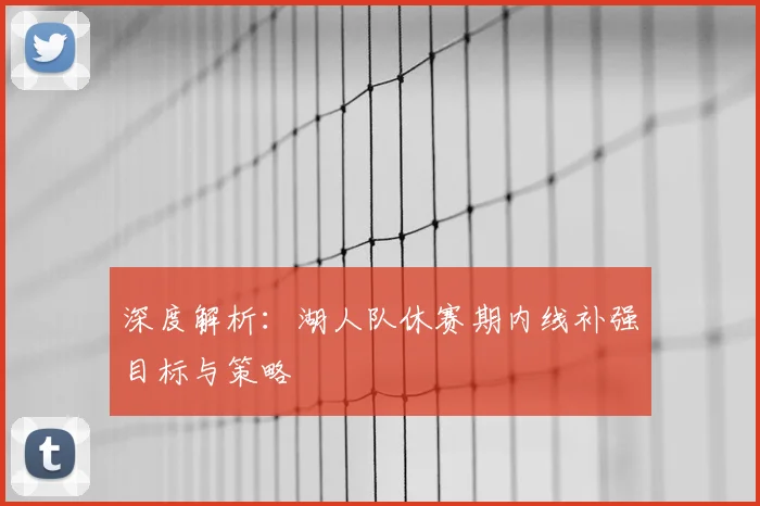 深度解析：湖人队休赛期内线补强目标与策略