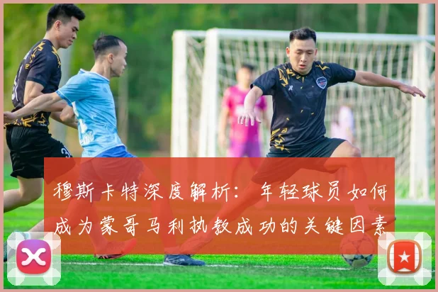 穆斯卡特深度解析：年轻球员如何成为蒙哥马利执教成功的关键因素