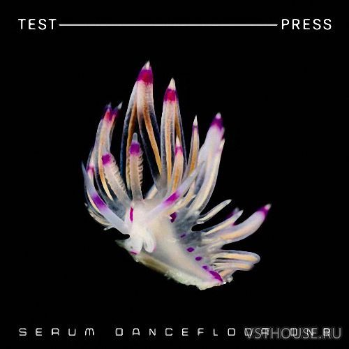 Test Press – Serum Dancefloor DnB （SERUM， WAV， MIDI） – SERUM预设