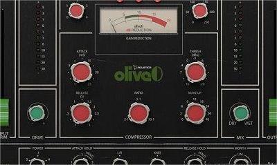 Acustica Audio – Olive 2023 REPACK VST、VST3、AAX x64 [06.01.2024] – 效果处理器